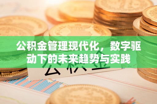 广德公积金管理现代化，数字驱动下的未来趋势与实践