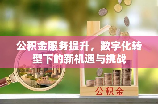 广德公积金服务提升，数字化转型下的新机遇与挑战