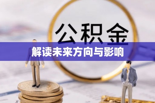 广德解读未来方向与影响