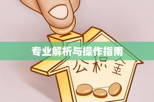 广德专业解析与操作指南
