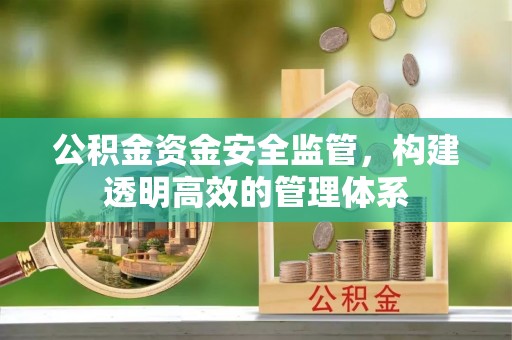 广德公积金资金安全监管，构建透明高效的管理体系