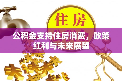 广德公积金支持住房消费，政策红利与未来展望