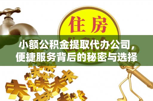 广德小额公积金提取代办公司，便捷服务背后的秘密与选择指南