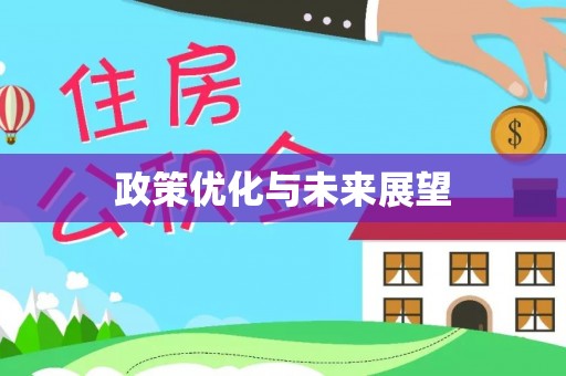 广德政策优化与未来展望
