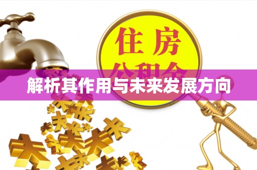 广德解析其作用与未来发展方向