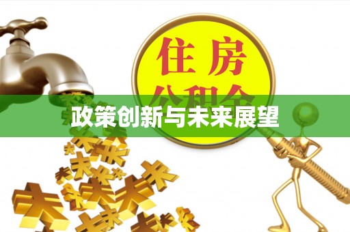 广德政策创新与未来展望